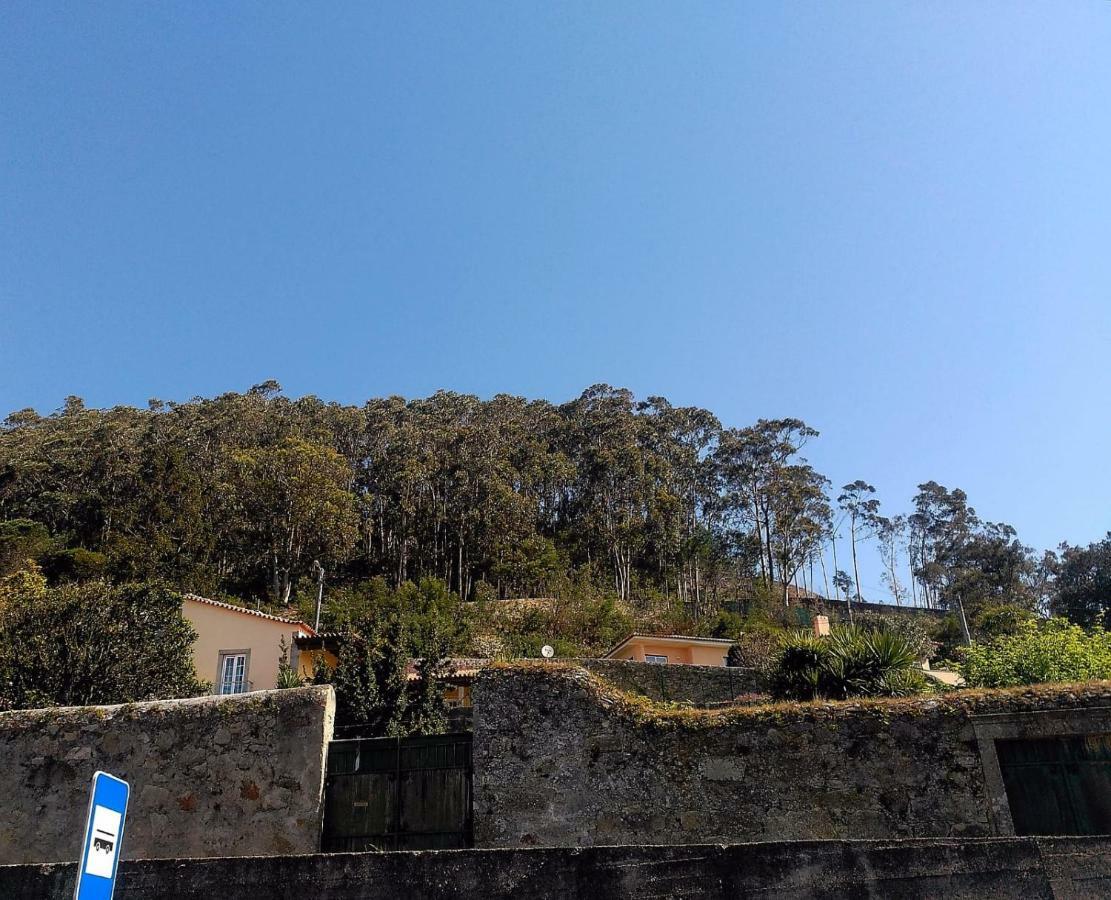 Lovely Sunny-House Viana do Castelo Exterior foto